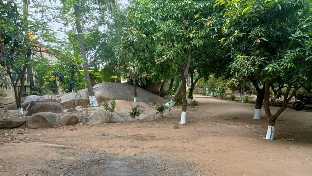 Shankar Homestay Hampi Exteriör bild